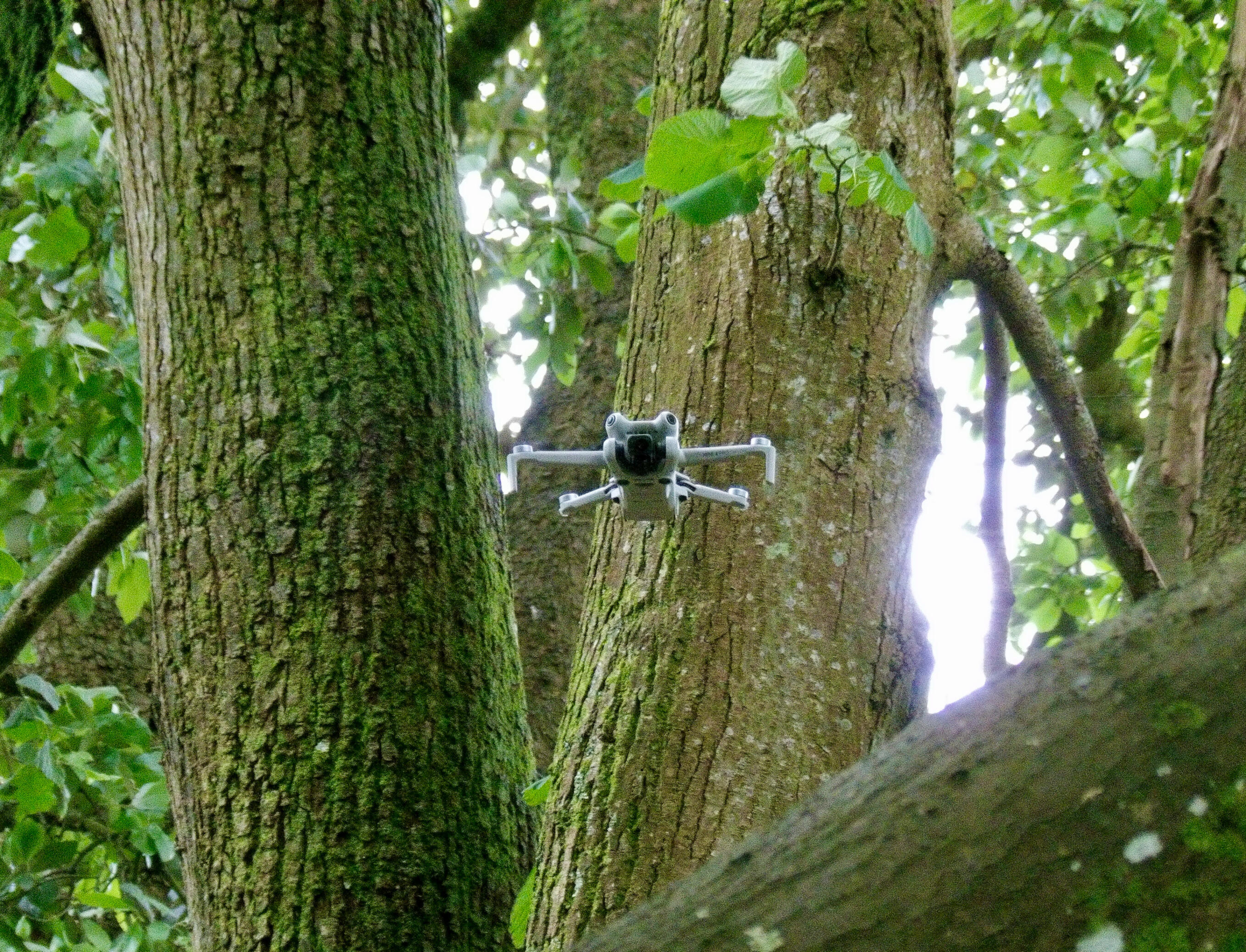 Drone hovering discreetly among tree branches, observing from a concealed position.